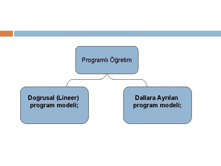 Programlı Öğretim Doğrusal (Lineer) program modeli; Dallara Ayrılan program modeli; 