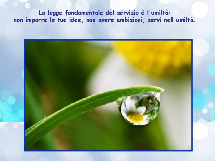 La legge fondamentale del servizio è l'umiltà: non imporre le tue idee, non avere