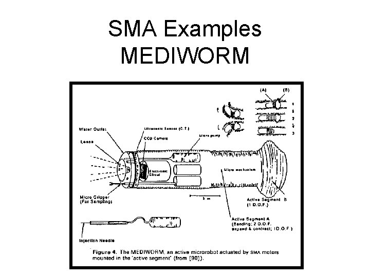 SMA Examples MEDIWORM 