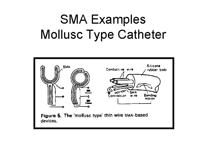 SMA Examples Mollusc Type Catheter 