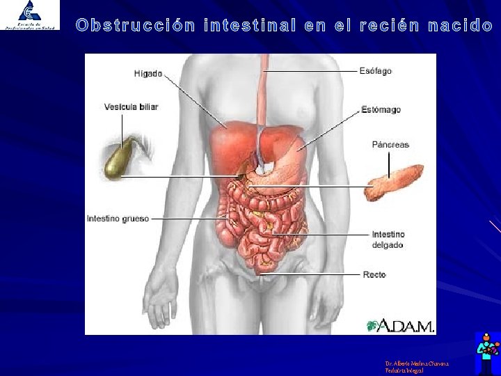 Dr. Alberto Medina Chanona Pediatría Integral 