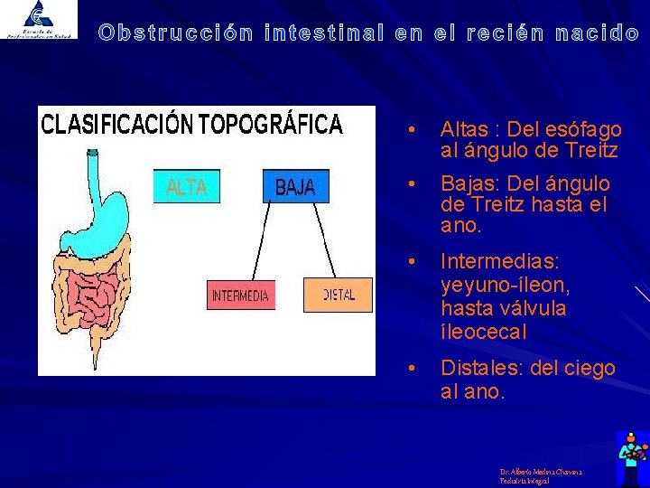  • Altas : Del esófago al ángulo de Treitz • Bajas: Del ángulo