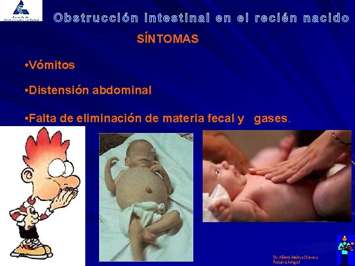 SÍNTOMAS • Vómitos • Distensión abdominal • Falta de eliminación de materia fecal y