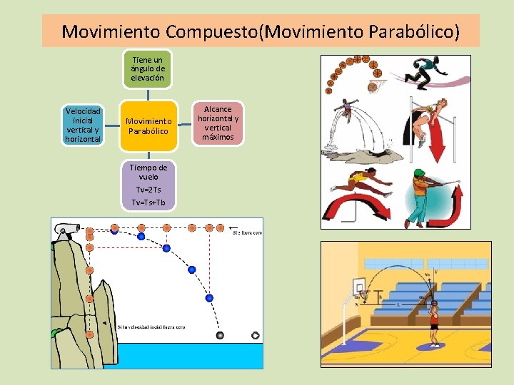 Movimiento Compuesto(Movimiento Parabólico) Tiene un ángulo de elevación Velocidad inicial vertical y horizontal Movimiento