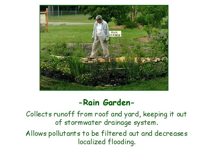 -Rain Garden. Collects runoff from roof and yard, keeping it out of stormwater drainage