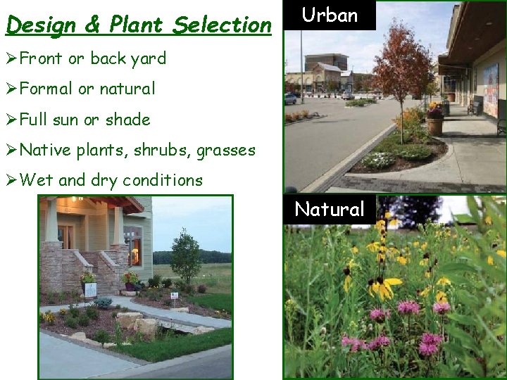 Design & Plant Selection Urban ØFront or back yard ØFormal or natural ØFull sun
