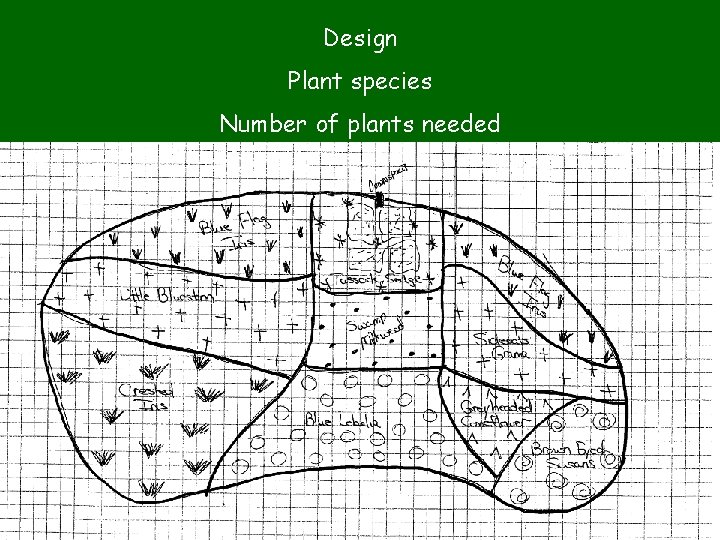 Design Plant species Number of plants needed 