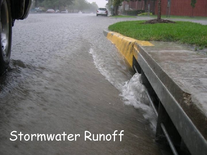 Stormwater Runoff 