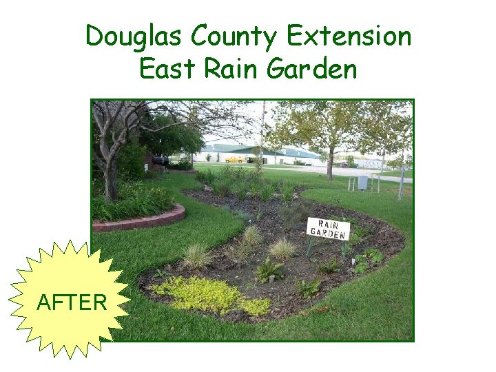 Douglas County Extension East Rain Garden AFTER 