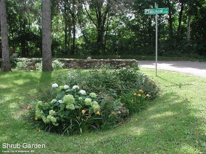 Shrub Garden Source: City of Maplewood, MN 