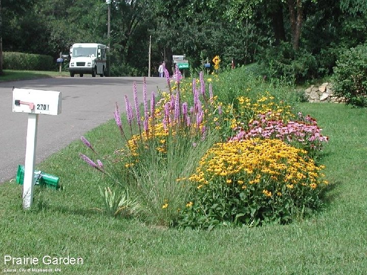 Prairie Garden Source: City of Maplewood, MN 