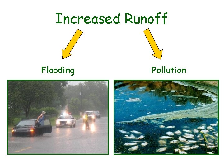 Increased Runoff Flooding Pollution 