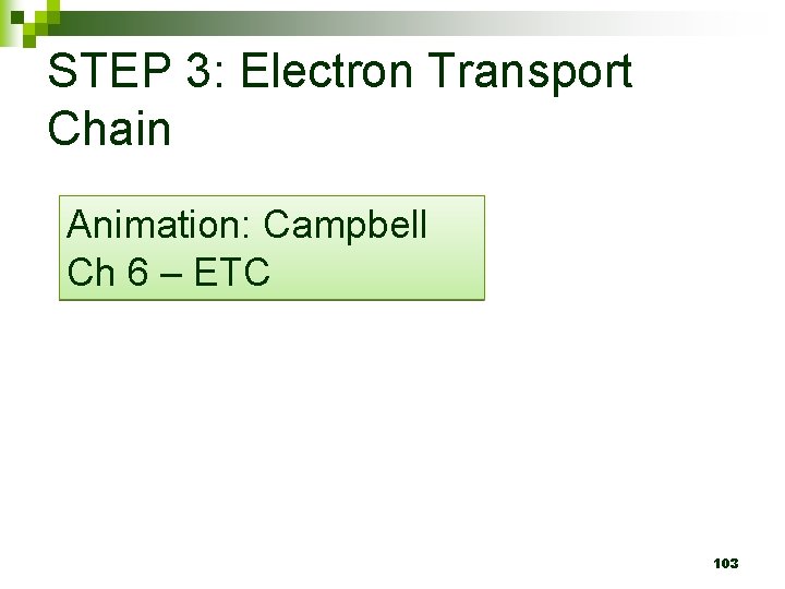 STEP 3: Electron Transport Chain Animation: Campbell Ch 6 – ETC 103 