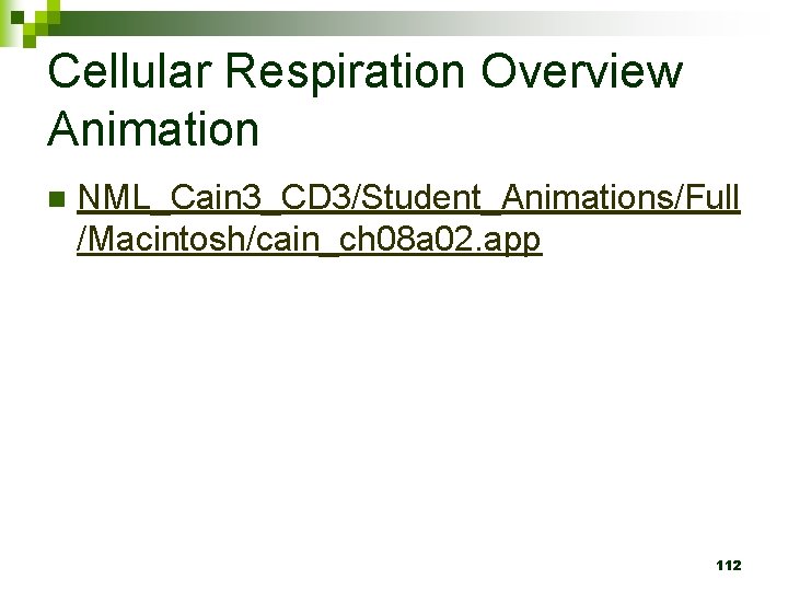 Cellular Respiration Overview Animation n NML_Cain 3_CD 3/Student_Animations/Full /Macintosh/cain_ch 08 a 02. app 112