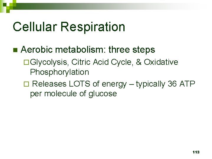 Cellular Respiration n Aerobic metabolism: three steps ¨ Glycolysis, Citric Acid Cycle, & Oxidative