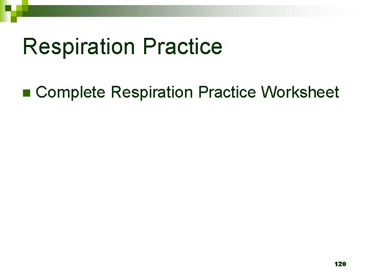 Respiration Practice n Complete Respiration Practice Worksheet 120 