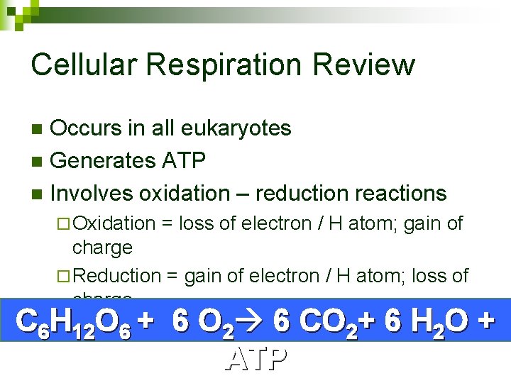 Cellular Respiration Review Occurs in all eukaryotes n Generates ATP n Involves oxidation –