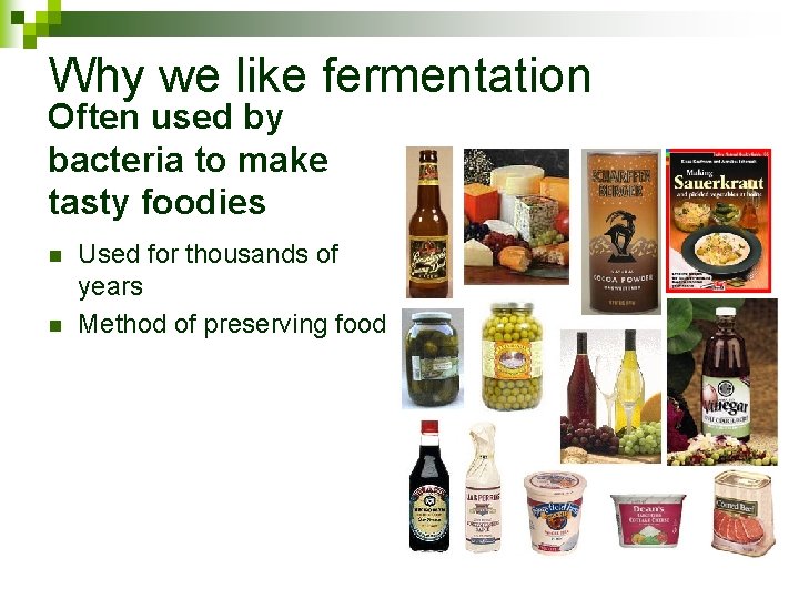 Why we like fermentation Often used by bacteria to make tasty foodies n n