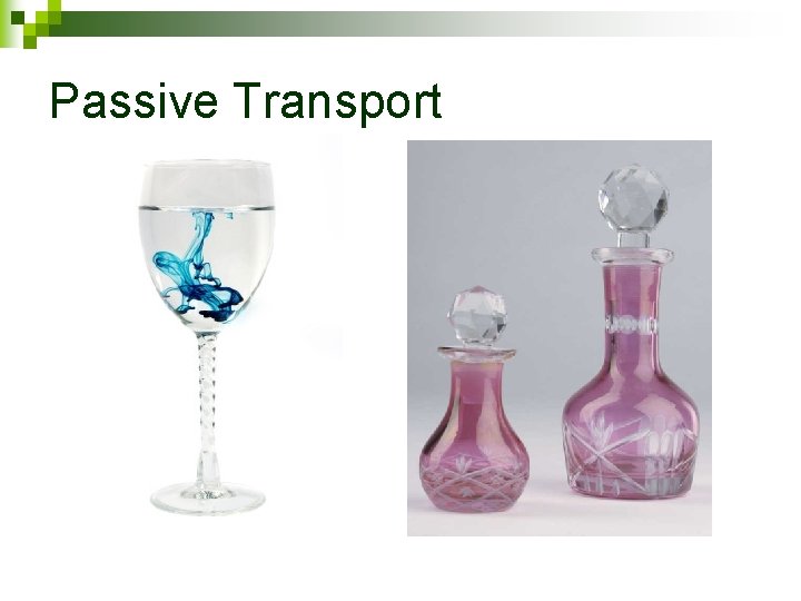 Passive Transport 