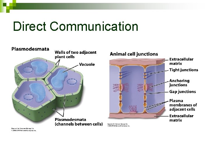 Direct Communication 