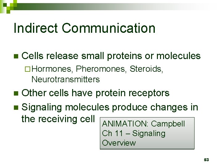 Indirect Communication n Cells release small proteins or molecules ¨ Hormones, Pheromones, Steroids, Neurotransmitters