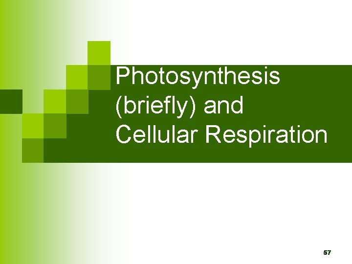 Photosynthesis (briefly) and Cellular Respiration 57 