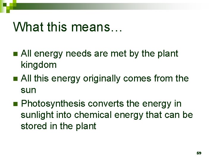 What this means… All energy needs are met by the plant kingdom n All