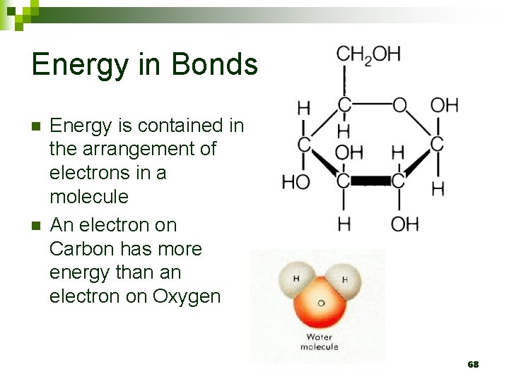 Energy in Bonds n n Energy is contained in the arrangement of electrons in