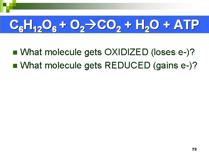 C 6 H 12 O 6 + O 2 CO 2 + H 2