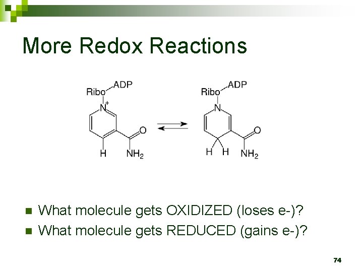 More Redox Reactions n n What molecule gets OXIDIZED (loses e-)? What molecule gets