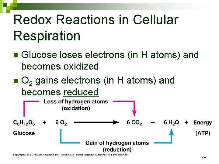 Redox Reactions in Cellular Respiration Glucose loses electrons (in H atoms) and becomes oxidized