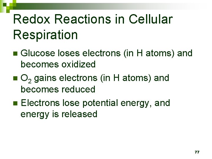 Redox Reactions in Cellular Respiration Glucose loses electrons (in H atoms) and becomes oxidized