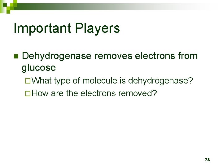 Important Players n Dehydrogenase removes electrons from glucose ¨ What type of molecule is