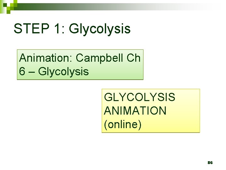 STEP 1: Glycolysis Animation: Campbell Ch 6 – Glycolysis GLYCOLYSIS ANIMATION (online) 86 