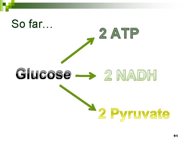 So far… Glucose 2 ATP 2 NADH 91 