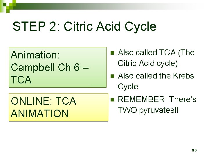 STEP 2: Citric Acid Cycle Animation: Campbell Ch 6 – TCA n Also called