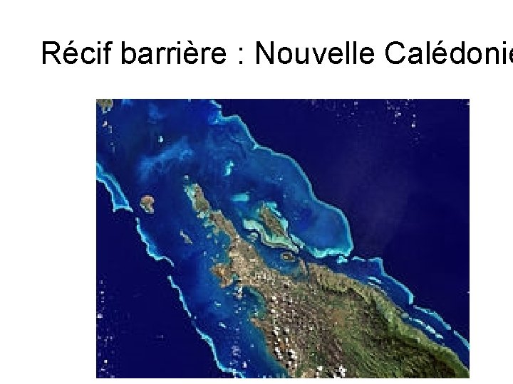 Récif barrière : Nouvelle Calédonie 