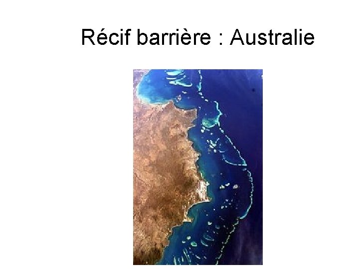 Récif barrière : Australie 