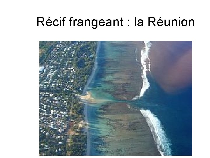 Récif frangeant : la Réunion 