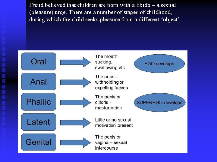 Freud believed that children are born with a libido – a sexual (pleasure) urge.