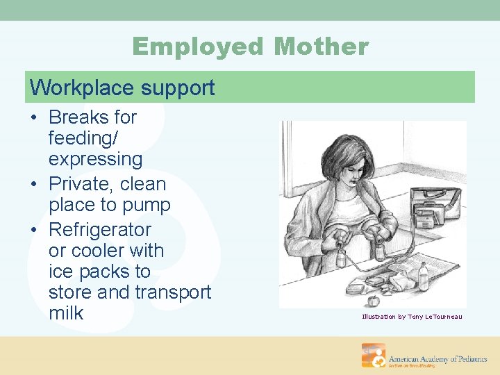 Employed Mother Workplace support • Breaks for feeding/ expressing • Private, clean place to