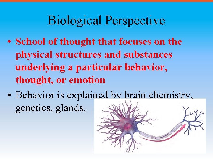 Biological Perspective • School of thought that focuses on the physical structures and substances