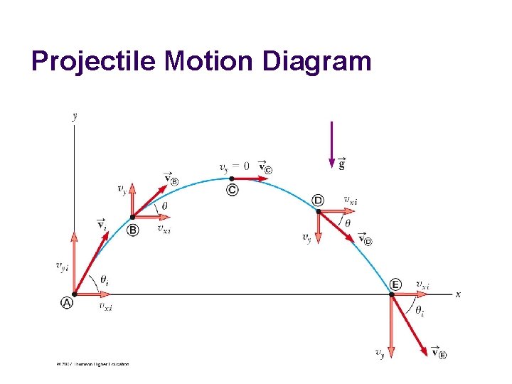 Projectile Motion Diagram 