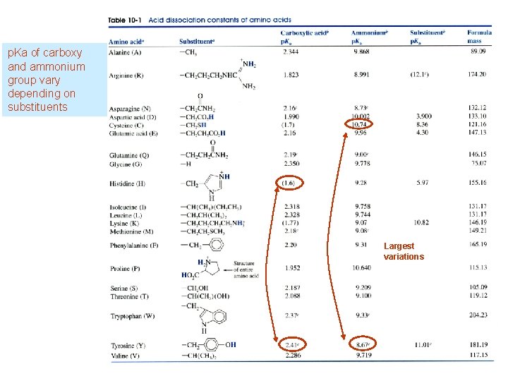 p. Ka of carboxy and ammonium group vary depending on substituents Largest variations 