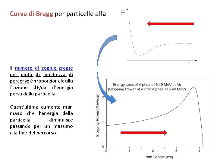 Curva di Bragg per particelle alfa Il numero di coppie create per unità di