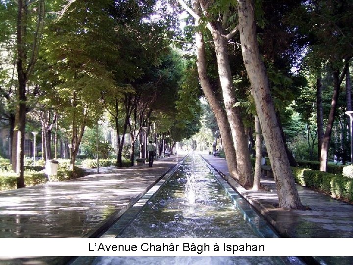 L’Avenue Chahâr Bâgh à Ispahan 