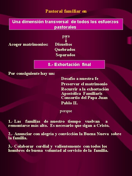 Pastoral familiar en Una dimensión transversal de todos los esfuerzos pastorales para Acoger matrimonios: