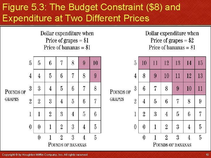 Figure 5. 3: The Budget Constraint ($8) and Expenditure at Two Different Prices Copyright