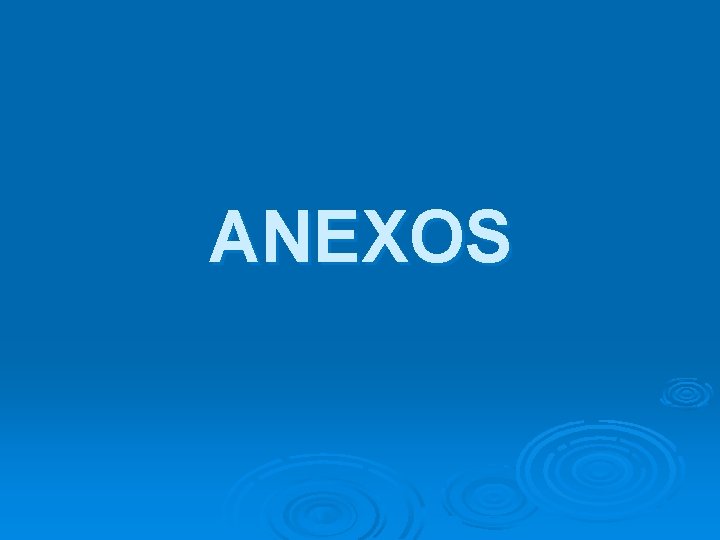 ANEXOS 