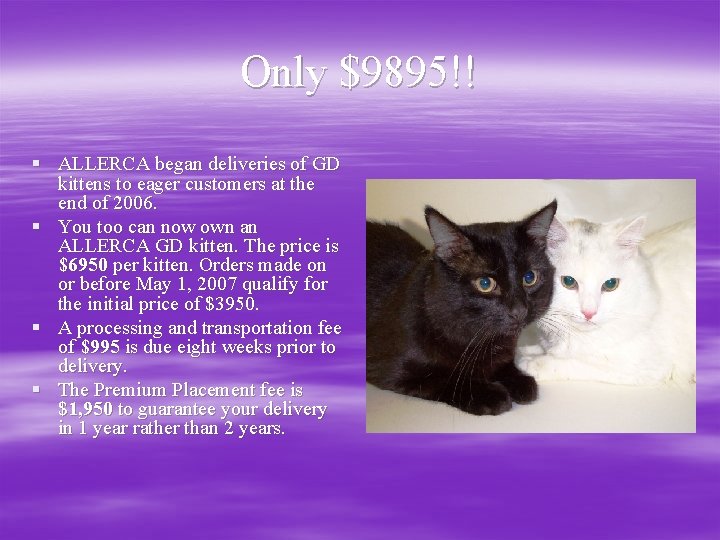 Only $9895!! § ALLERCA began deliveries of GD kittens to eager customers at the